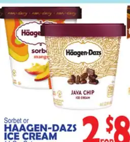 Bravo Supermarkets HAAGEN-DAZS ICE CREAM offer