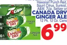 Bravo Supermarkets CANADA DRY GINGER ALE offer