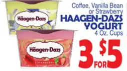 Bravo Supermarkets HAAGEN-DAZS YOGURT offer