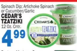 Bravo Supermarkets CEDAR'S TZATZIKI offer