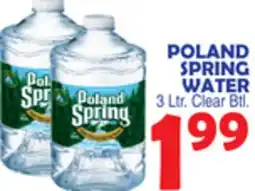 Bravo Supermarkets POLAND SPRING WATER offer