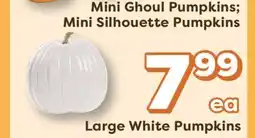 Weis Markets Mini Ghoul Pumpkins Mini Silhouette Pumpkins offer