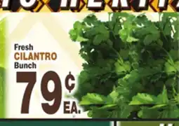 Bravo Supermarkets CILANTRO offer