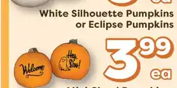 Weis Markets White Silhouette Pumpkins or Eclipse Pumpkins offer