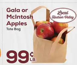 DeCicco & Sons Gala or McIntosh Apples Tote Bag offer