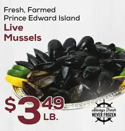 DeCicco & Sons Live Mussels offer