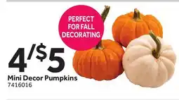 Stop&Shop Mini Decor Pumpkins offer
