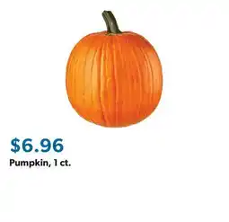 Sam's Club Pumpkin, 1 ct offer