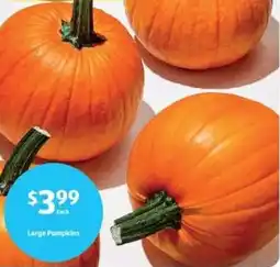 Aldi Large Pumpkins offer