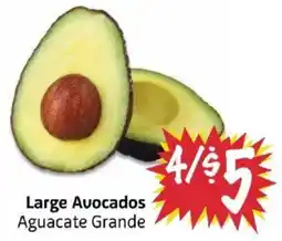 Foodmaxx Large Avocados offer