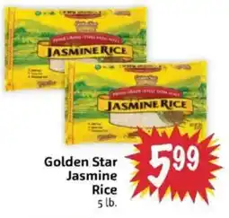 Foodmaxx Golden Star Jasmine Rice offer