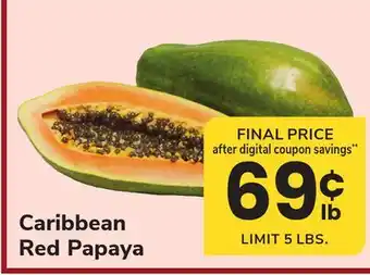 ACME Caribbean Red Papaya offer