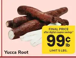 ACME Yucca Root offer