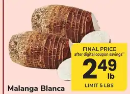 ACME Malanga Blanca offer