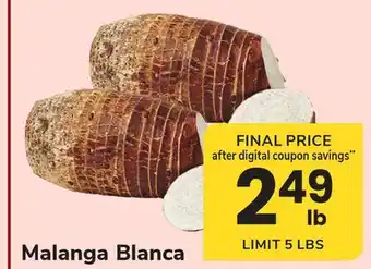 ACME Malanga Blanca offer