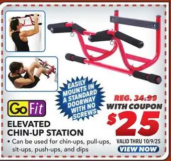 Big 5 GoFit Elevated Chin-Up Station offer