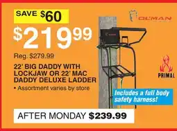 Dunham's Sports 22' BIG DADDY WITH LOCKJAW OR 22' MAC DADDY DELUXE LADDER offer