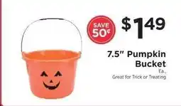 ShopRite 7.5 Pumpkin Bucket offer