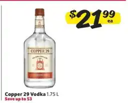 Winn Dixie Copper 29 Vodka offer