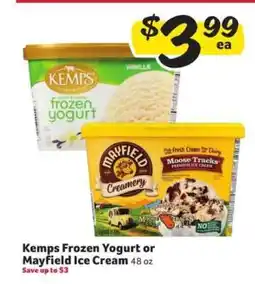 Winn Dixie Kemps Frozen Yogurt or Mayfield Ice Cream offer
