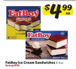 Winn Dixie FatBoy Ice Cream Sandwiches offer
