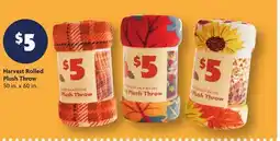 Family Dollar Harvest Rolled Plush Throw offer