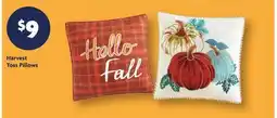 Family Dollar Harvest Toss Pillows offer