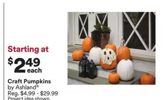 Michaels Craft pumpkins by Ashland offer