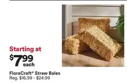 Michaels FloraCraft Straw Bales offer