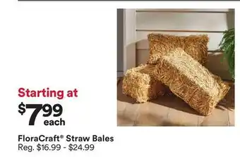 Michaels FloraCraft Straw Bales offer
