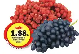 Meijer California Red or Black Seedless Grapes offer