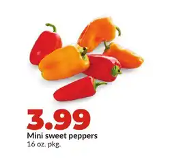 Hy-Vee Mini sweet peppers offer