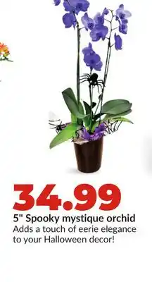 Hy-Vee 5 Spooky mystique orchid offer