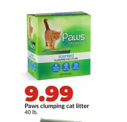 Hy-Vee Paws clumping cat litter offer