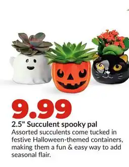 Hy-Vee 2.5 Succulent spooky pal offer