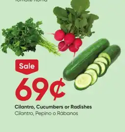 Stater Bros Cilantro, Cucumbers or Radishes offer