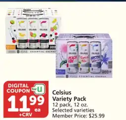 Albertsons Celsius Variety Pack offer
