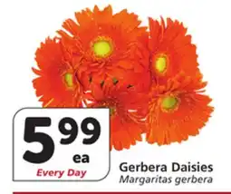 Albertsons Gerbera Daisies offer