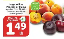Albertsons Large Yellow Peaches or Plums offer