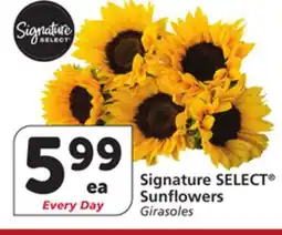 Vons Signature SELECT Sunflowers offer