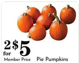 Pavilions Pie Pumpkins offer