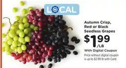 Ralphs Autumn Crisp, Red or Black Seedless Grapes offer