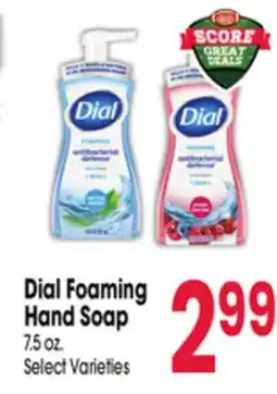 Jewel-Osco Dial Foaming Hand Soap offer