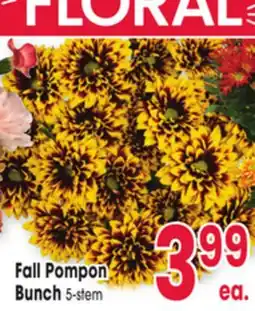 Jewel-Osco Fall Pompon Bunch offer