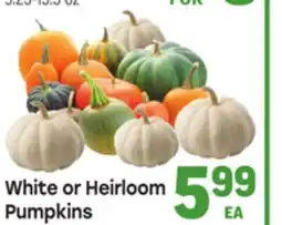 Tony’s Fresh Market White or Heirloom Pumpkins offer