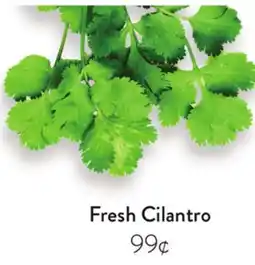 Fresh Thyme Fresh Cilantro offer