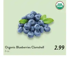 Fresh Thyme Organic Blueberries Clamshell offer