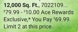 Ace Hardware 12, 000 Sq. Ft offer