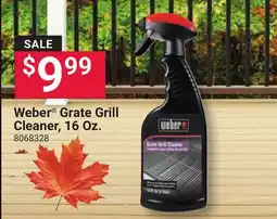 Ace Hardware Weber Grate Grill Cleaner, 16 Oz offer