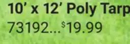 Ace Hardware 10' x 12' Poly Tarp offer